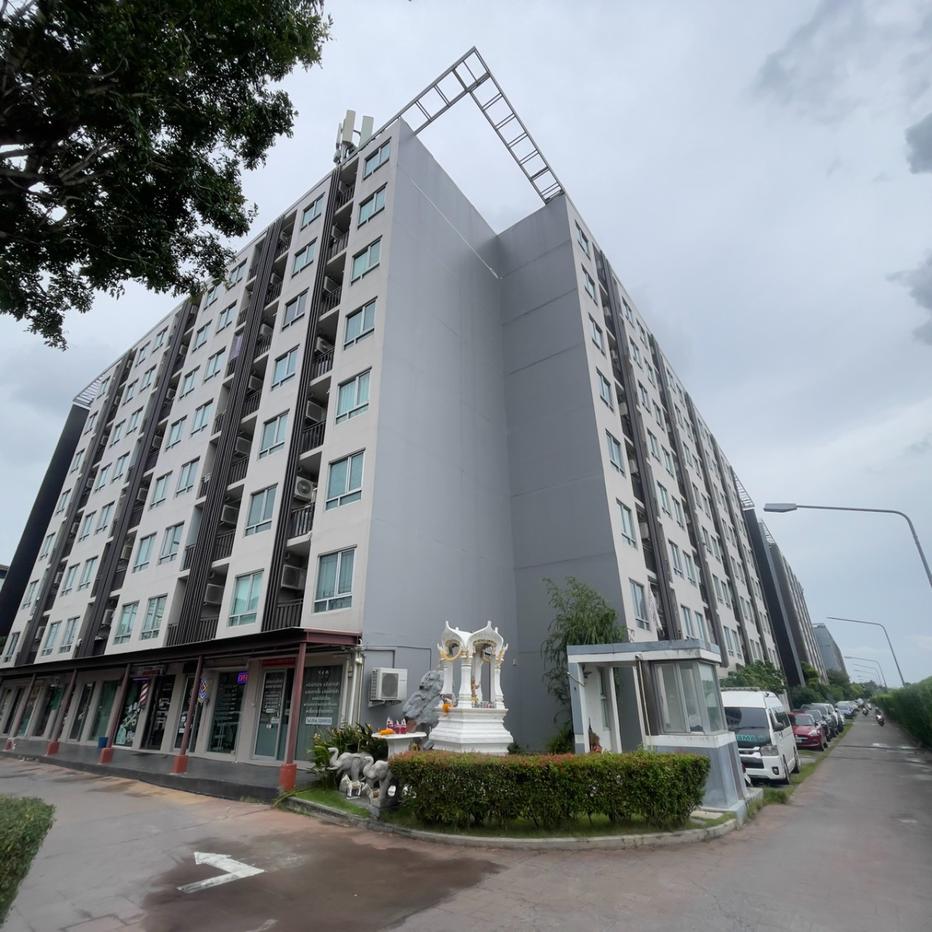 รูป BG 5252 : Arkhom ไอริส แอเวนิว - รูปที่ 3/21