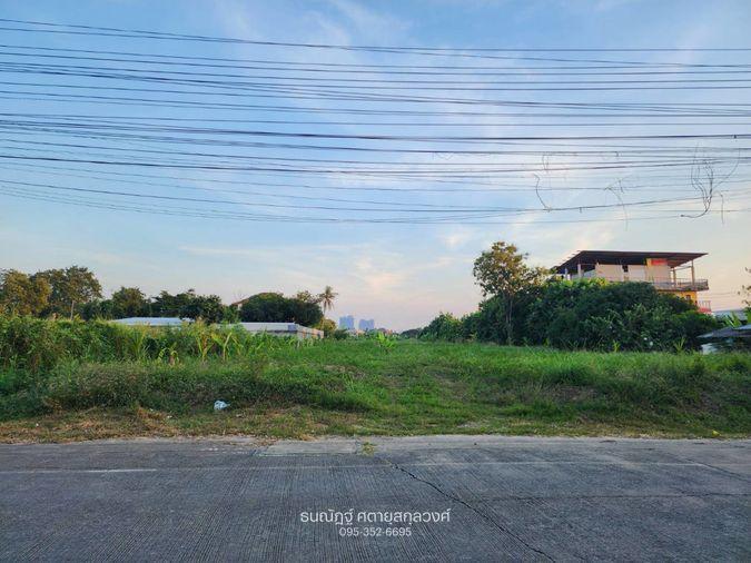 รูป ที่ดินถนนชัยพฤกษ์ ติดถนนซอยโยธาธิการ นนทบุรี 2023 แปลงสวย พร้อมศักยภาพสูง - รูปที่ 13/23
