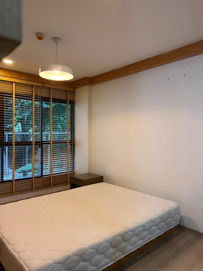 picture Just renovated, 36.66 sqm, spacious studio  - 8/25