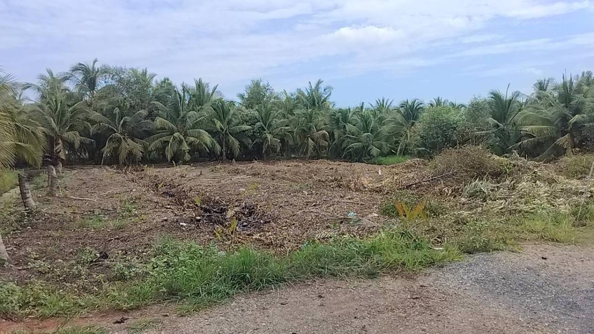 picture Land for sale at Samutsongkram near BKK - 1/6
