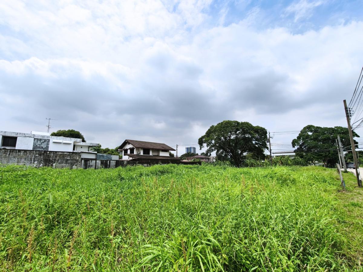 รูป ที่ดินที่สร้างสรรค์บ้านได้ตามที่ต้องการอยู่ในโครงการระดับ Luxury พร้อมสังคมคุณภาพ หมู่บ้านเอื้อสุข ซอยพัฒนาการ 58 เนื้อที่ 200 ตารางวา - รูปที่ 3/6