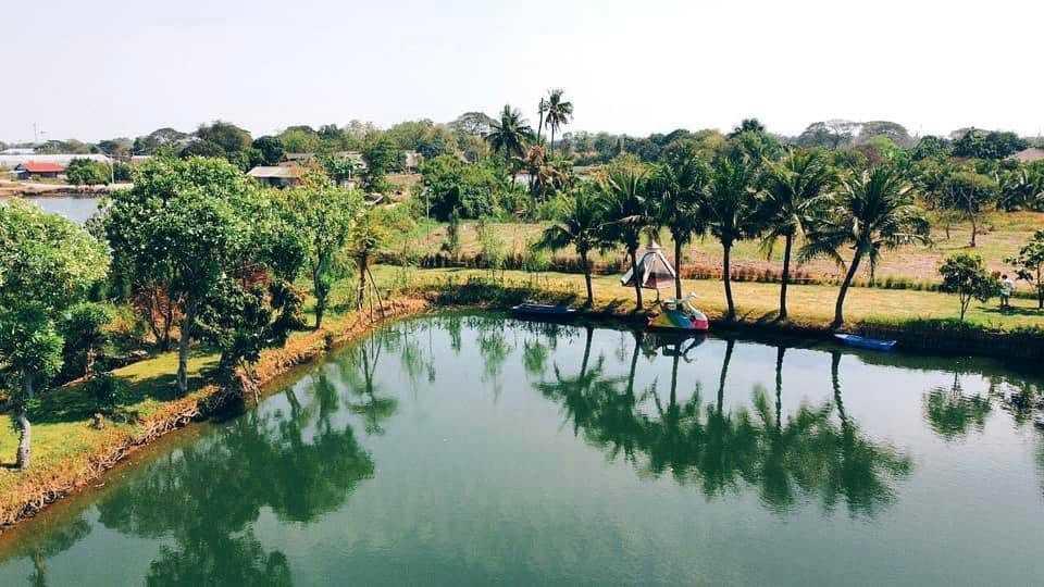 รูป ขาย ที่ดินพร้อมกิจการเกือบ 5 ไร่ อำเภอดอนตูม จังหวัดนครปฐม พร้อมสระน้ำขนาดใหญ่ อาคารคาเฟ่ และพื้นที่รองรับกิจกรรม - รูปที่ 28/52