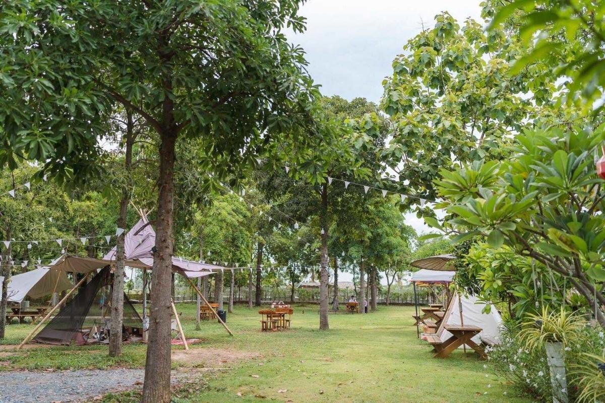 รูป ขาย ที่ดินพร้อมกิจการเกือบ 5 ไร่ อำเภอดอนตูม จังหวัดนครปฐม พร้อมสระน้ำขนาดใหญ่ อาคารคาเฟ่ และพื้นที่รองรับกิจกรรม - รูปที่ 22/52