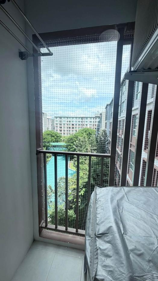 picture 🎊🏢 For Rent: D Condo Ping | Pool View | 6th Floor, Building A | 30 SQ.M. - 2/18