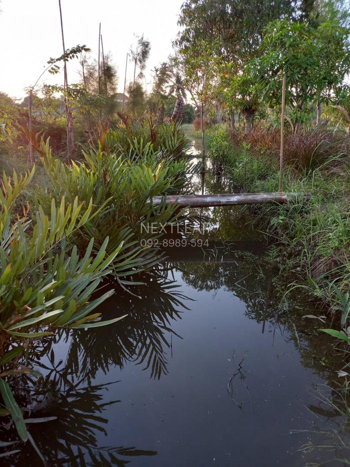 รูป ขาย ที่ดินพร้อมกิจการเกือบ 5 ไร่ อำเภอดอนตูม จังหวัดนครปฐม พร้อมสระน้ำขนาดใหญ่ อาคารคาเฟ่ และพื้นที่รองรับกิจกรรม - รูปที่ 35/52