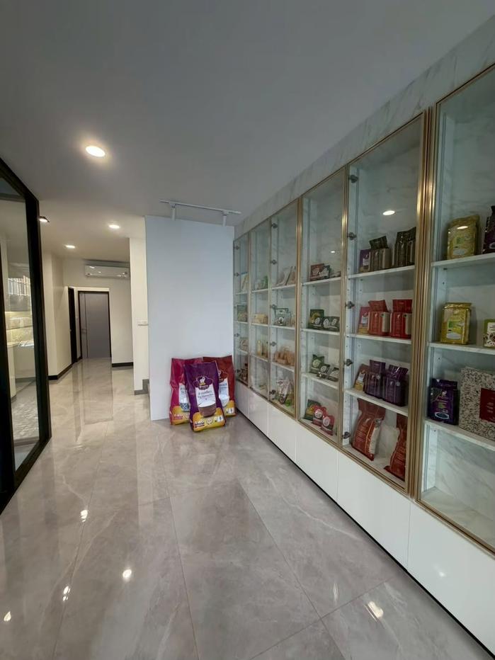 รูป HR3834ให้เช่าLuxury Home Office หรู 5 ชั้น โครงการ The Pride พัฒนาการ 30 (มีลิฟต์ส่วนตัว) ทำเลทองใกล้ทองหล่อ-เอกมัย เหมาะทำธุรกิจและสำนักงานพรีเมียม - รูปที่ 3/9