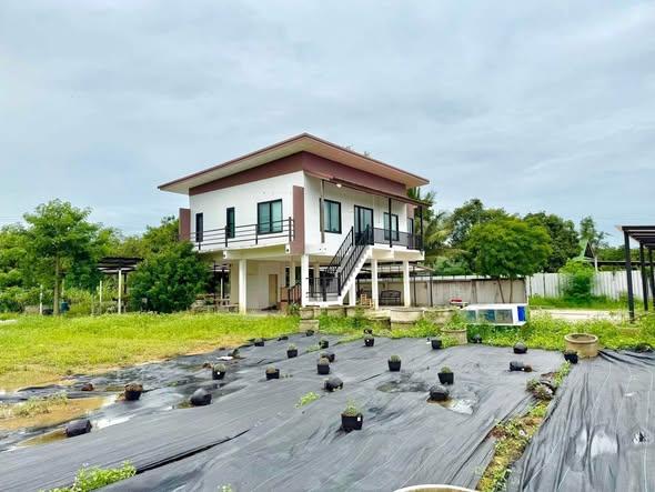 รูป AA676591 | -1 ห้องนอน | -1 ห้องน้ำ | 2,000 ตร.ม. | 25,000 บาท/เดือน | ชั้น -1 — Detached House Thai Ramanu Road - รูปที่ 4/5