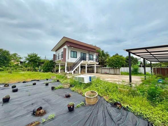รูป AA676591 | -1 ห้องนอน | -1 ห้องน้ำ | 2,000 ตร.ม. | 25,000 บาท/เดือน | ชั้น -1 — Detached House Thai Ramanu Road - รูปที่ 5/5