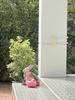 listing thumbnail image 19