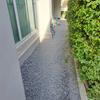 listing thumbnail image 54