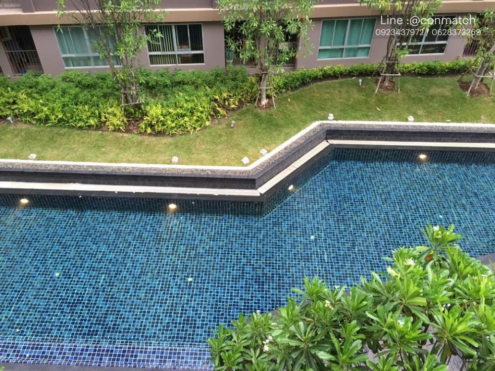 รูป MN084968 | 1 ห้องนอน | 1 ห้องน้ำ | 29 ตร.ม. | 12,000 บาท/เดือน | ชั้น 4 — Dcondo Creek Phuket Phuket - รูปที่ 10/10