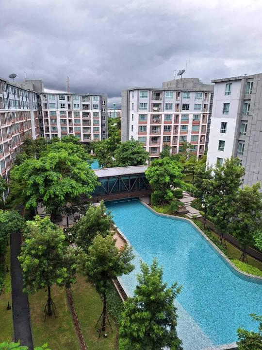 picture  🏡 For Rent: D Condo Ping | 2 Bedrooms with Pool & Mountain Views | Beautiful & Ready to Move In! ⛰️🌊 - 1/15