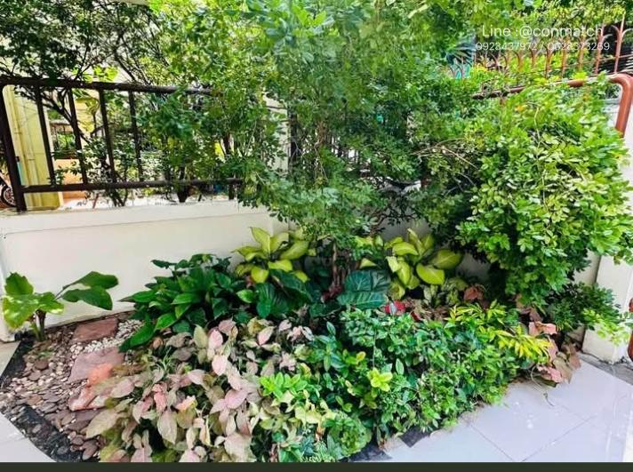 picture AA665710 | 5Bed | 5Bath | BTS Phrom Phong | 350sqm | THB 120,000/mo | Fl.4 — house Sukhumvit 31 - 10/10