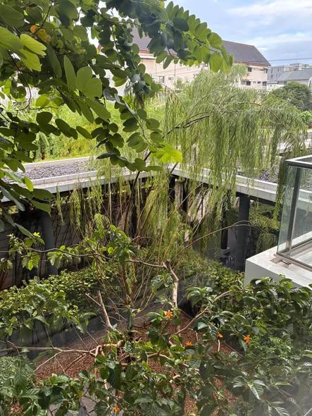 picture AA673533 | 1Bed | -1Bath | BTS On Nut | 45sqm | THB 22,000/mo | Fl.-1 — D-50 Private Apartment - 4/5