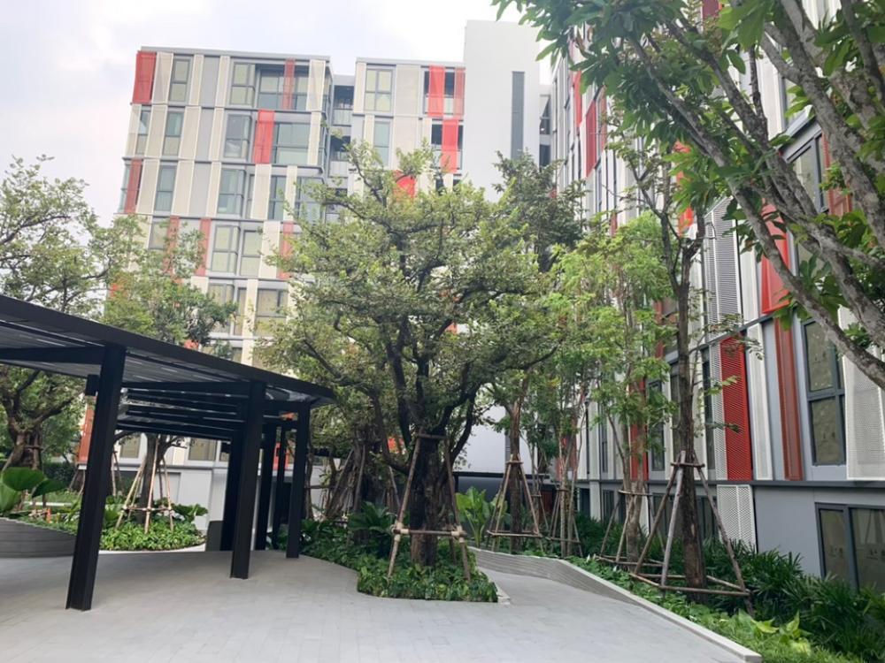 รูป AA677462 | 1 ห้องนอน | -1 ห้องน้ำ | BTS Bang Na | 28 ตร.ม. | 12,000 บาท/เดือน | ชั้น 27 — Regent home Bangna Bangna - รูปที่ 23/29
