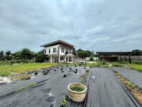 รูป AA676591 | -1 ห้องนอน | -1 ห้องน้ำ | 2,000 ตร.ม. | 25,000 บาท/เดือน | ชั้น -1 — Detached House Thai Ramanu Road - รูปที่ 1/5